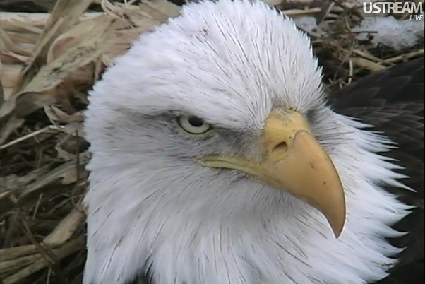 ScreenHunter_30 Feb. 21 11.06.jpg